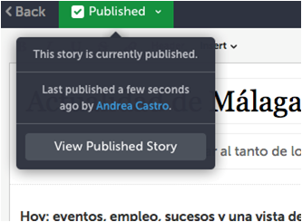 imagen de interfaz de storify vista previa de maquetación